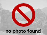 Fotografie