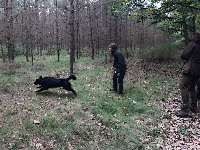 29