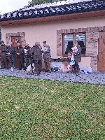 34