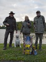 Fotografie