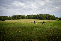 Fotografie